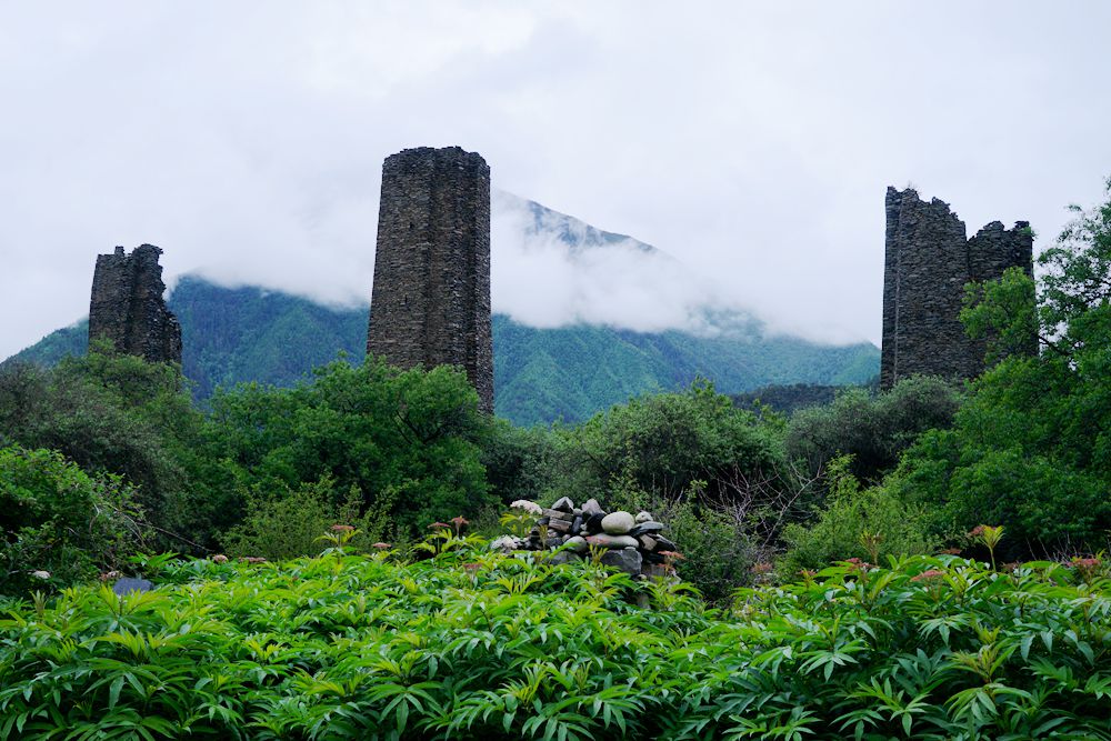 DSC00006_副本.jpg
