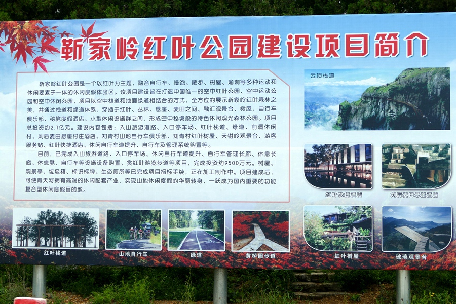 B01.JPG
