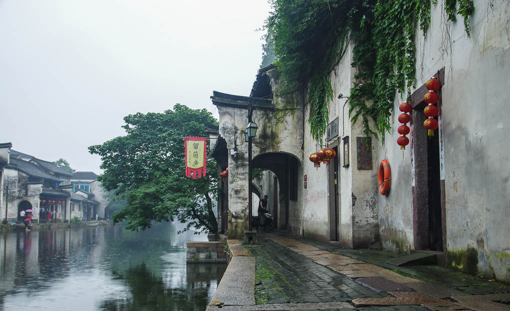 IMGP8611.jpg