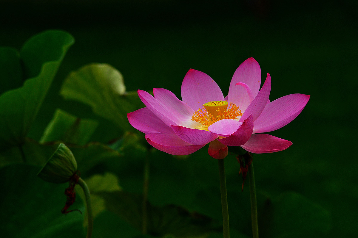 DSC_7472_副本.jpg