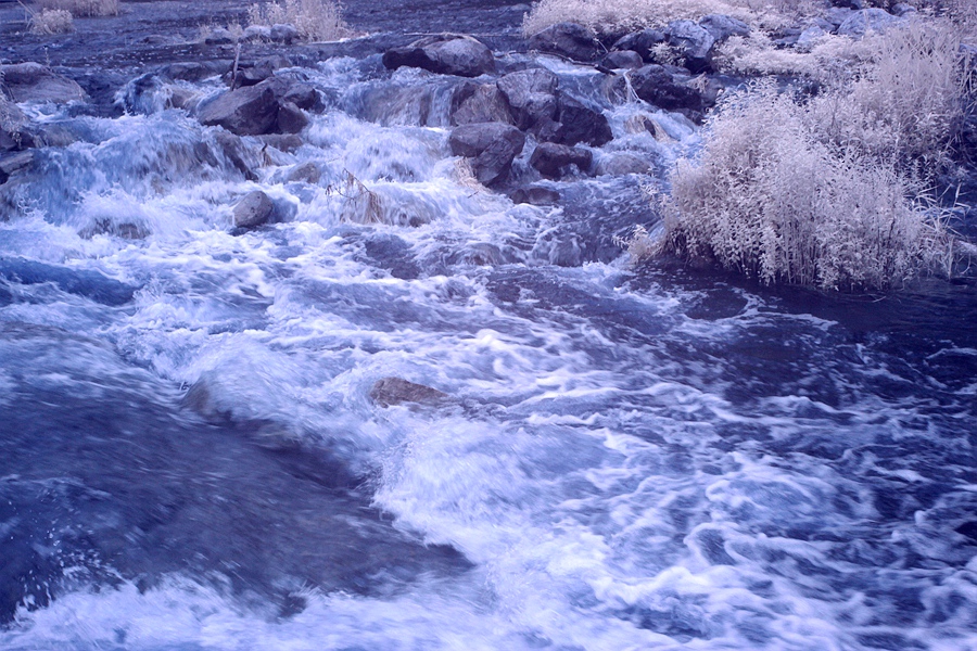 B59.JPG