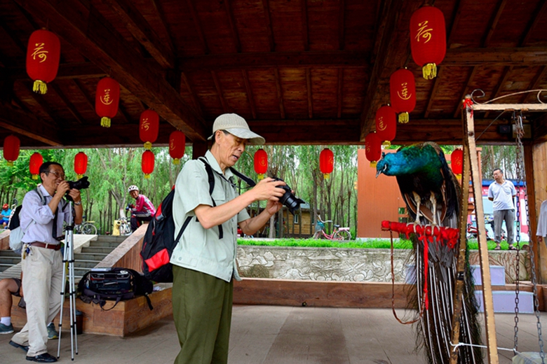 铁岭莲花湿地采风花絮 (2).jpg