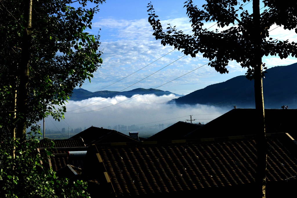 DSC_2373.JPG