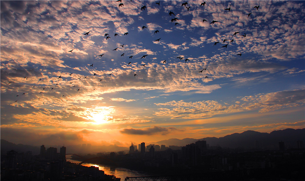IMG_8940-2_副本.jpg