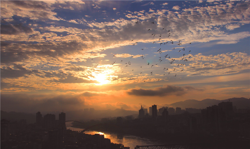 IMG_8938-2_副本.jpg