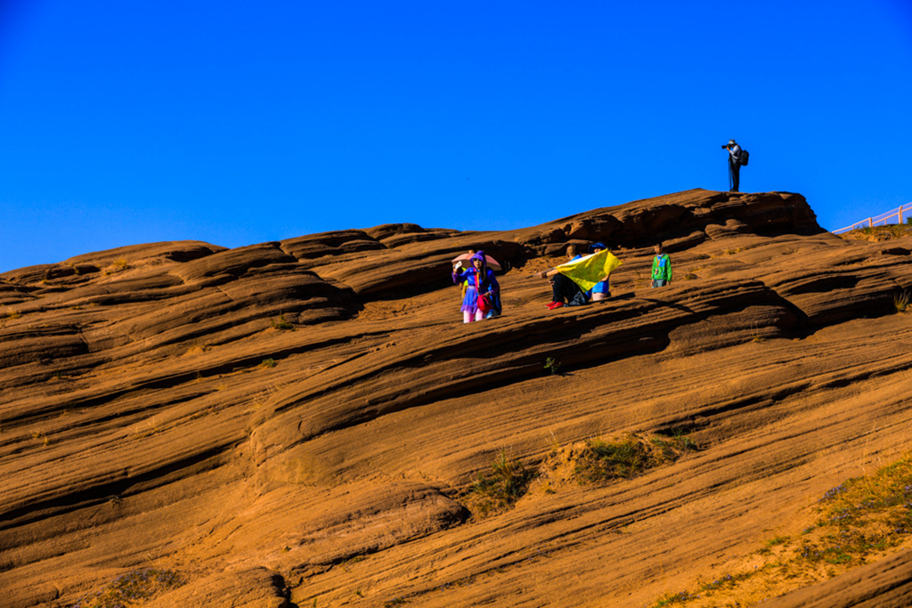 _A7A5817-1.jpg