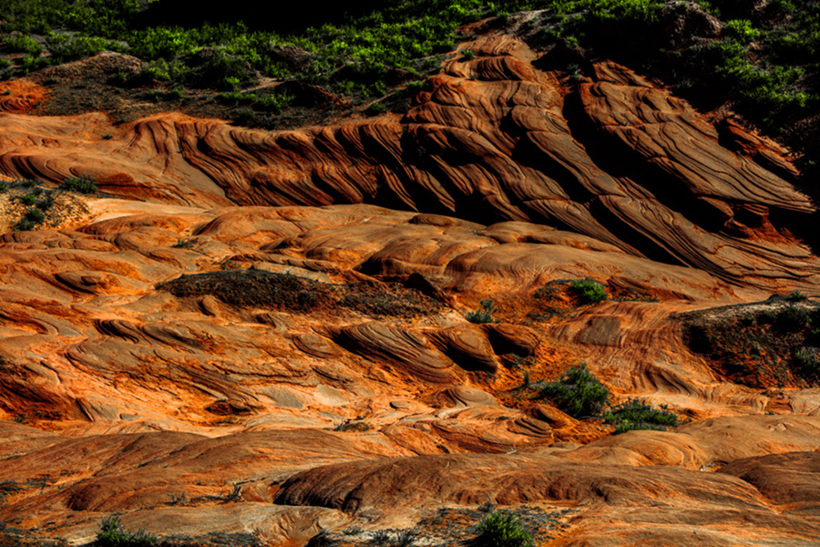_A7A5824-1.jpg