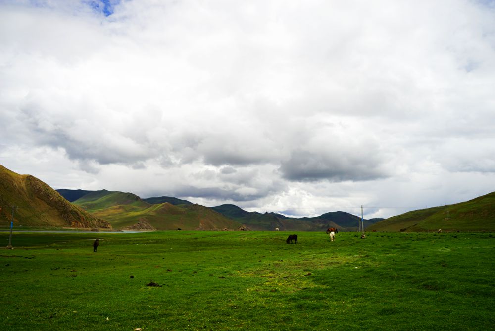 DSC00668_副本.jpg
