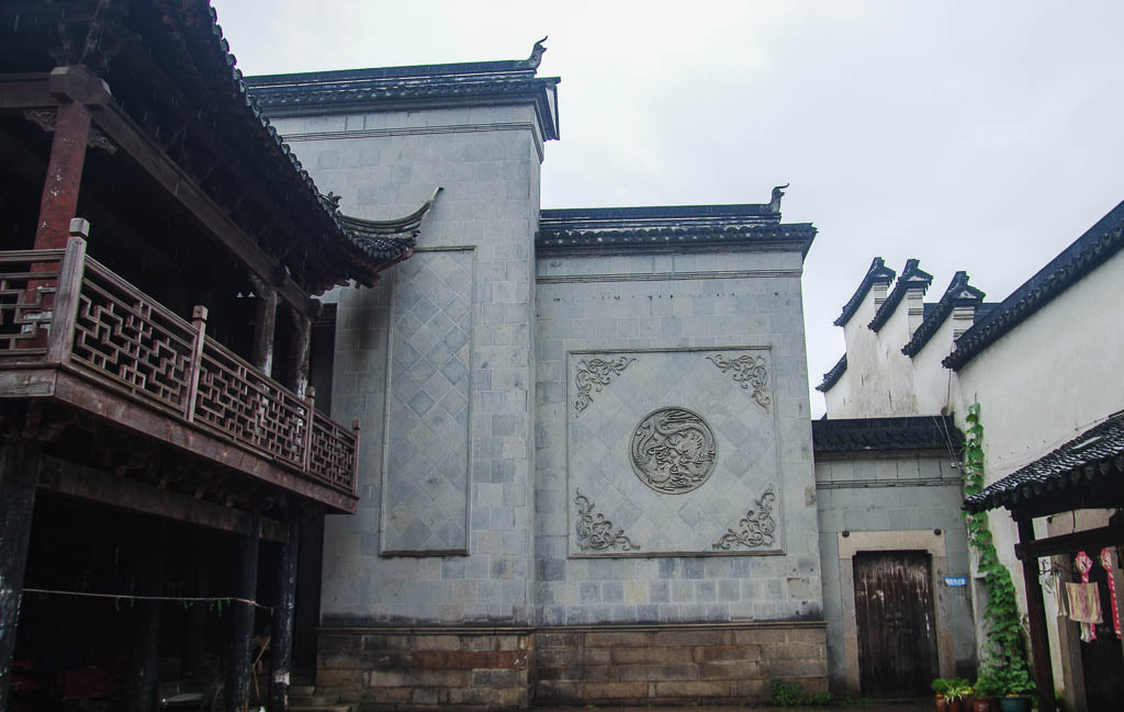 IMGP8655.jpg