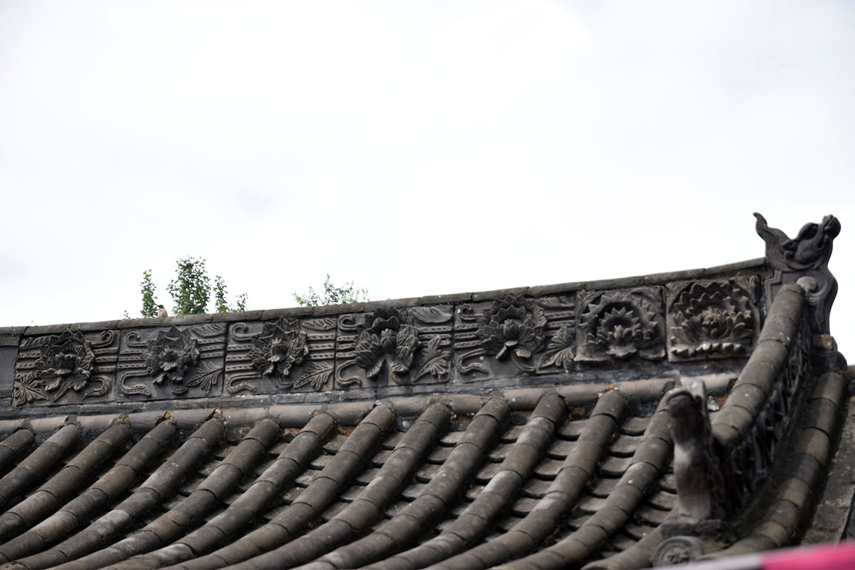 DSC_33631.jpg