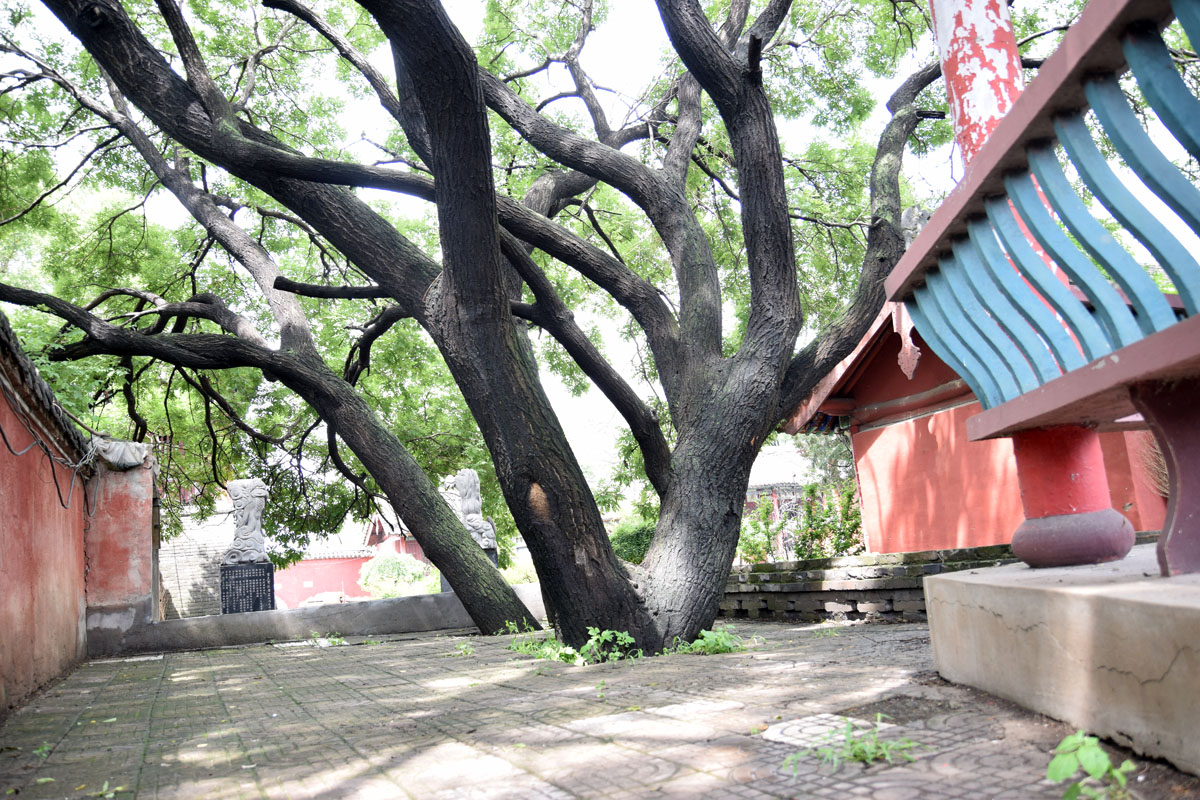 DSC_33701.jpg