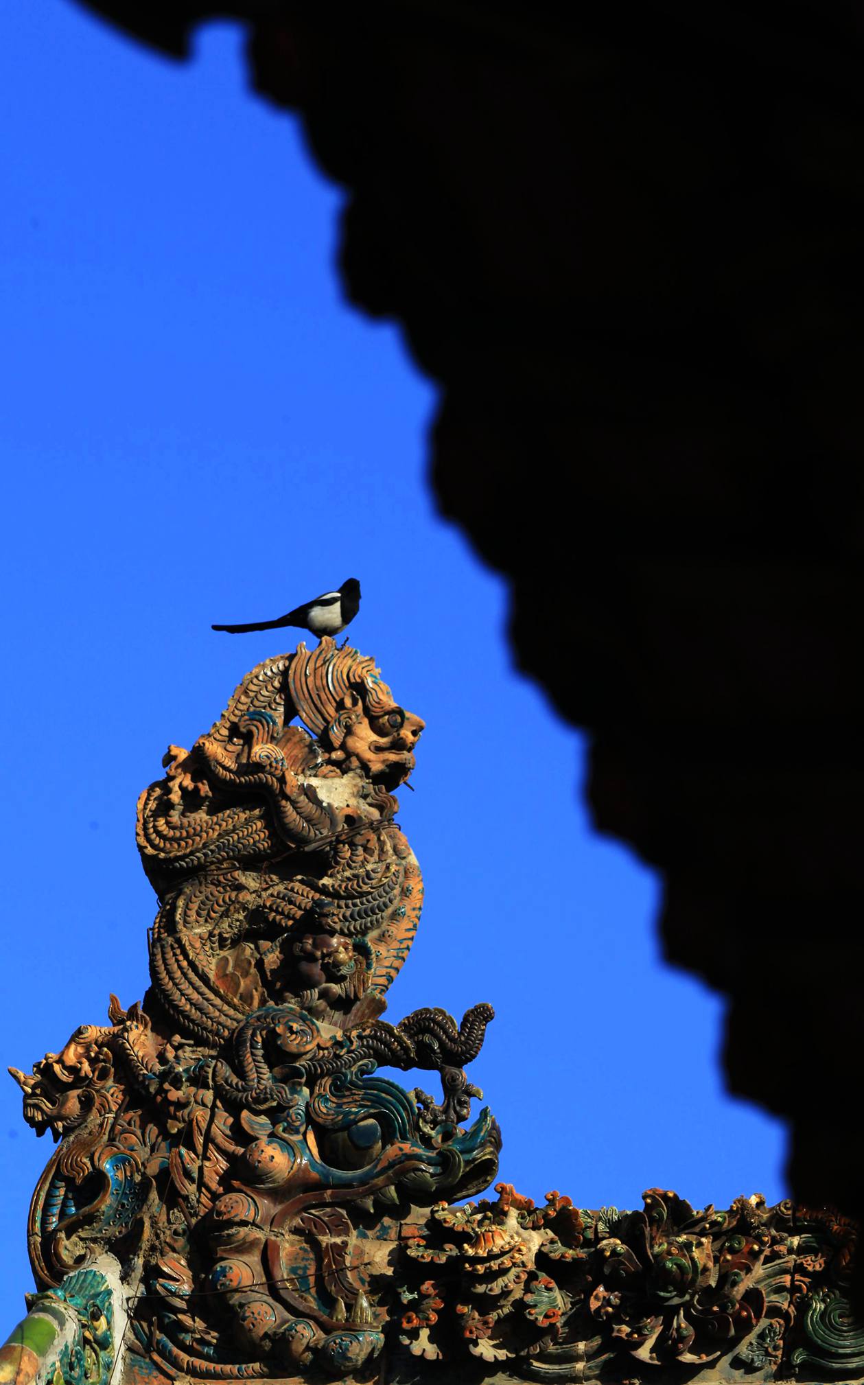 _MG_4447.JPG