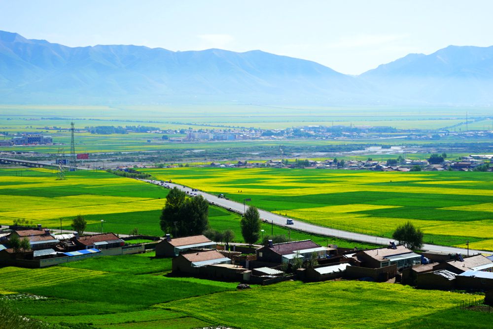DSC08834_副本.jpg