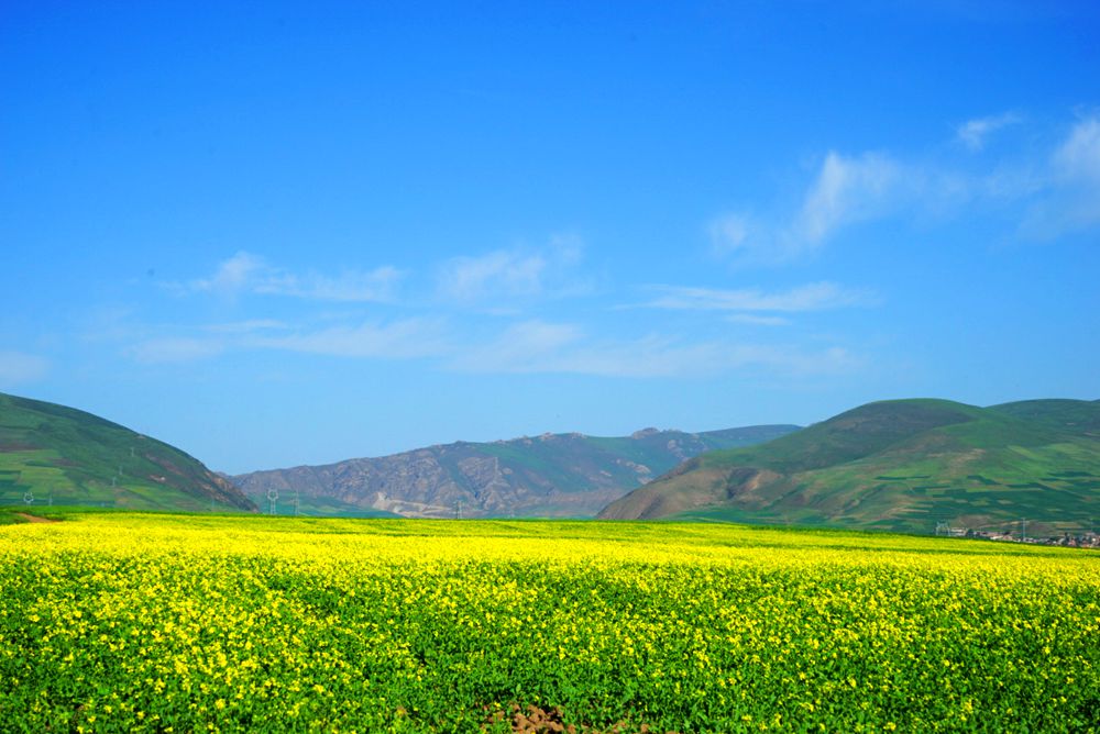 DSC08835_副本.jpg