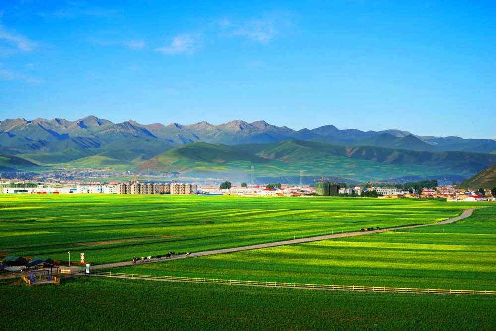 DSC08742_副本.jpg