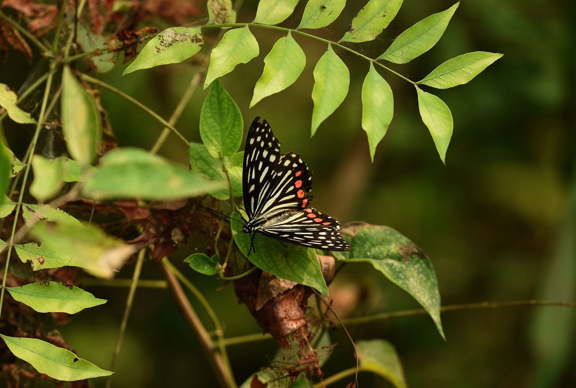 DSC_3248.JPG