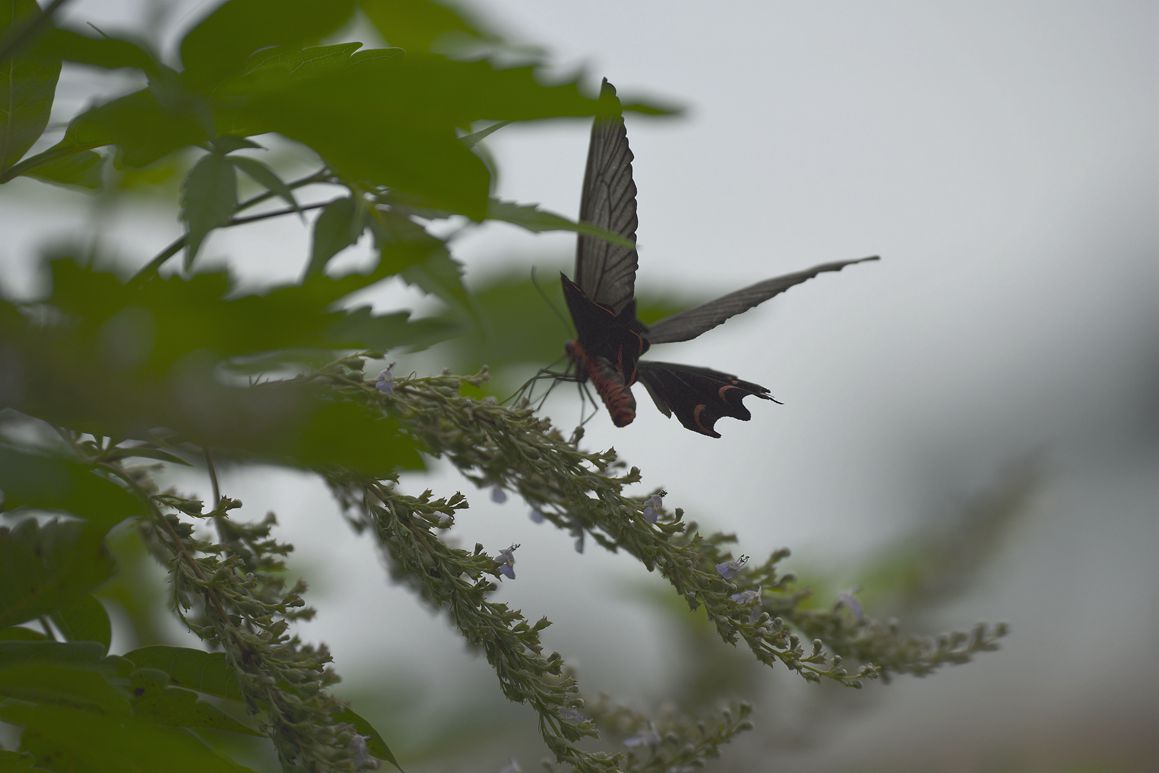 DSC_3283.JPG