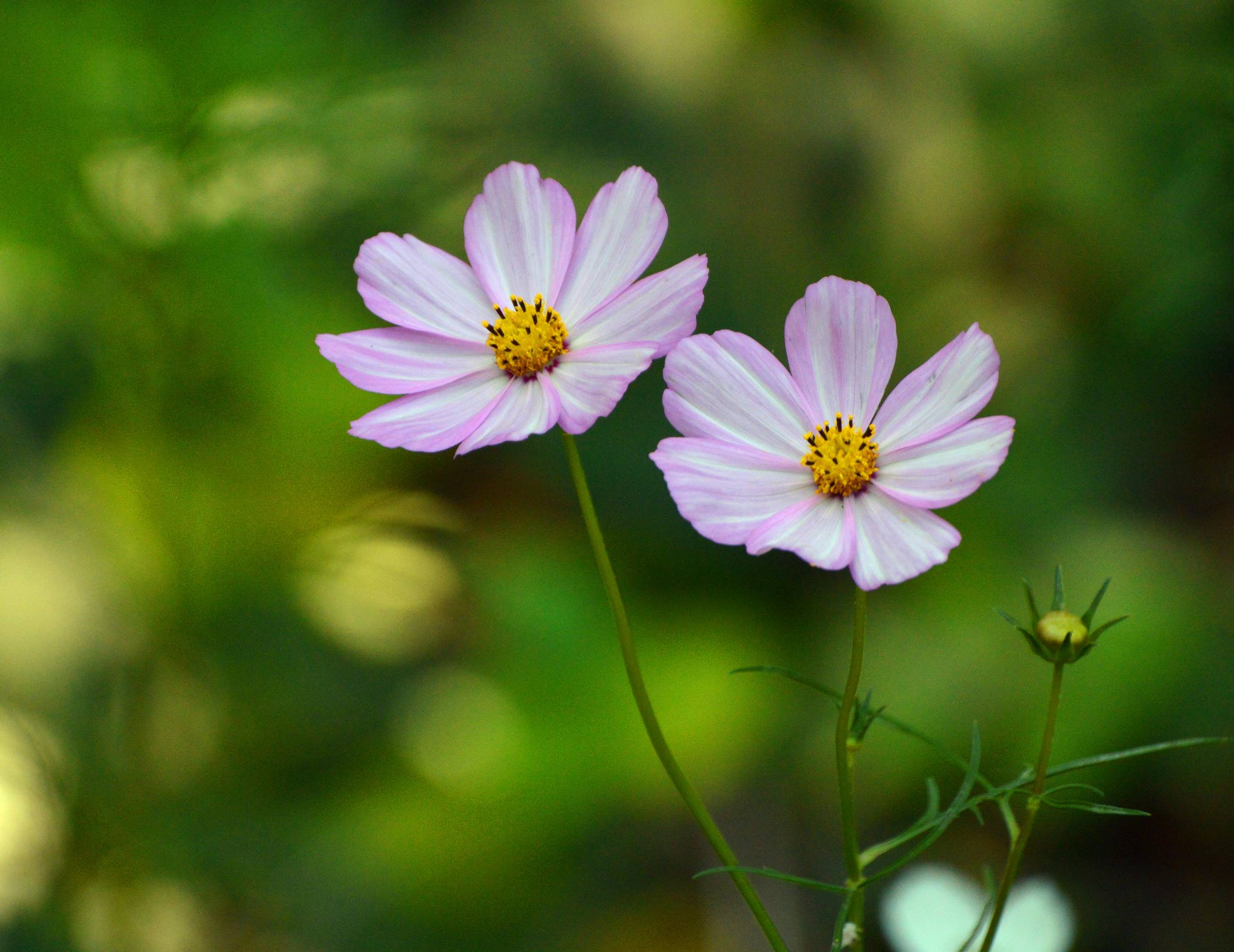 DSC_0811_副本.jpg