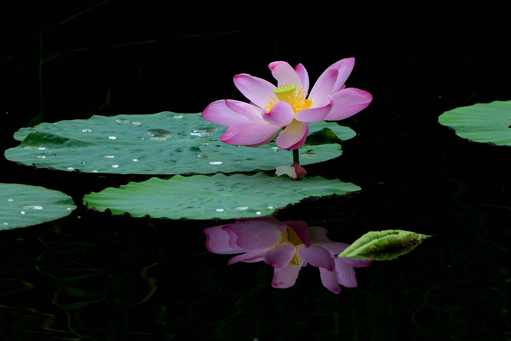 DSC_2534.JPG