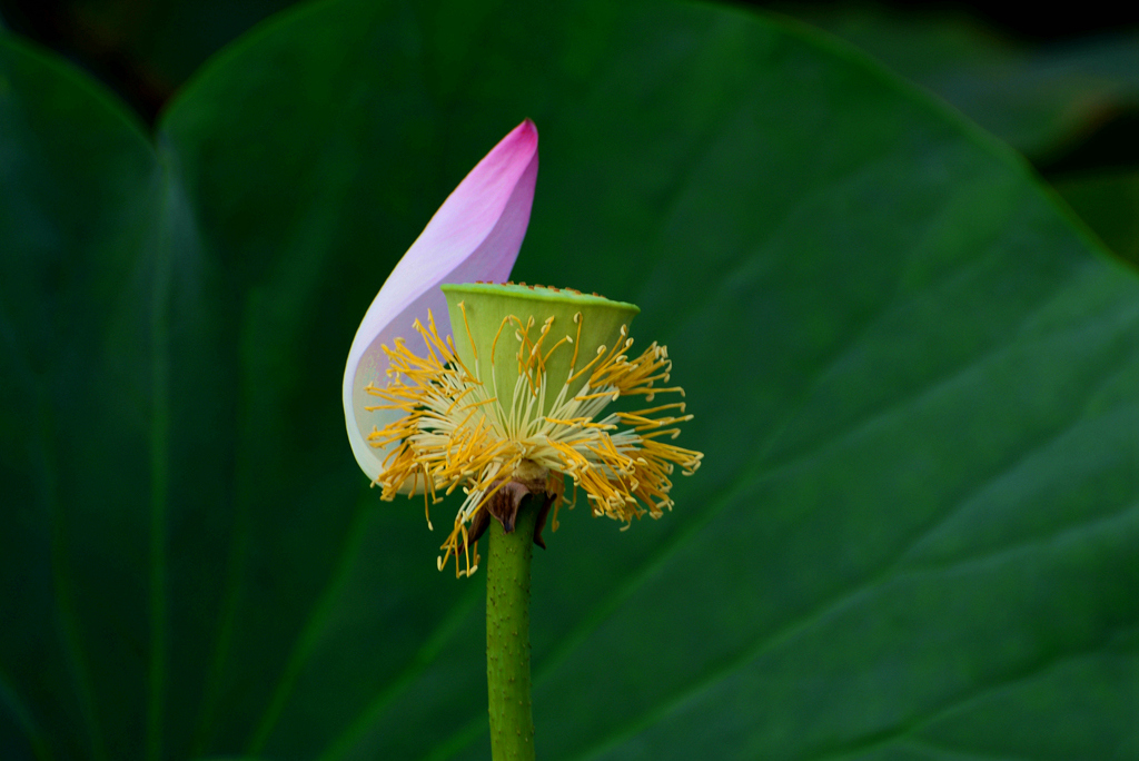 DSC_2586.JPG