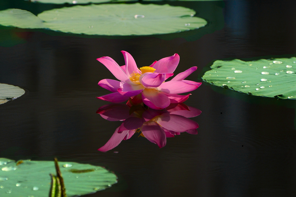 DSC_2832.JPG