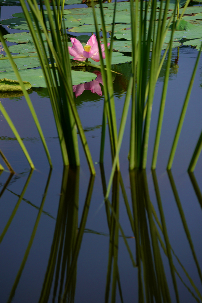DSC_2836.JPG