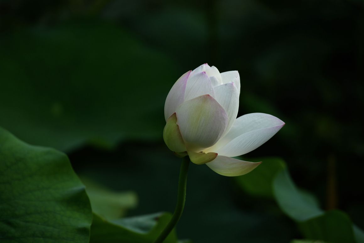 DSC_3351.JPG