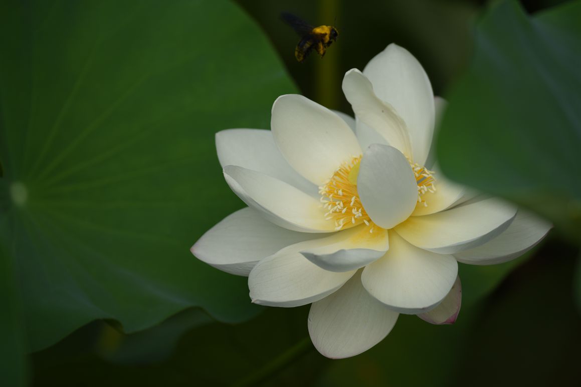 DSC_3480.JPG