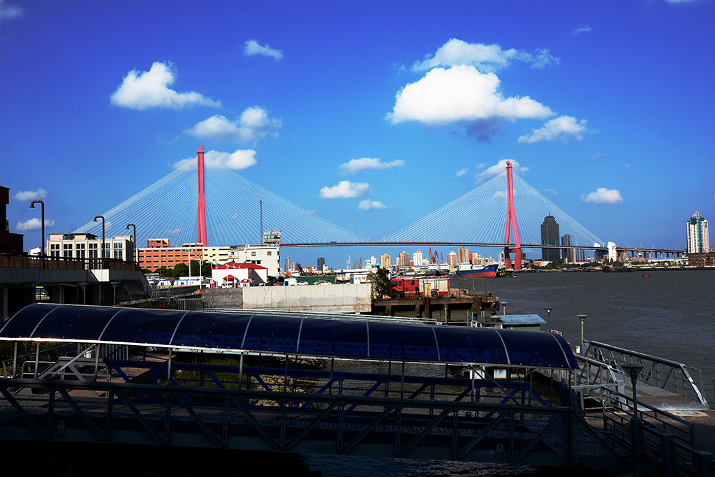 DSC_9131.jpg