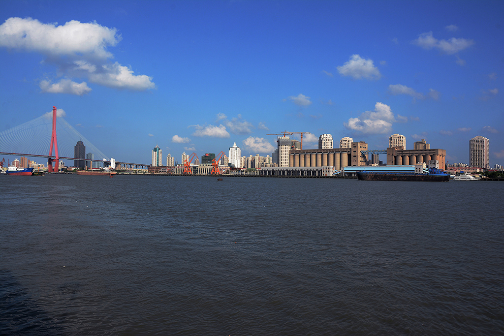 DSC_9154.jpg
