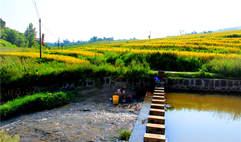 IMG_1692-2_副本.jpg
