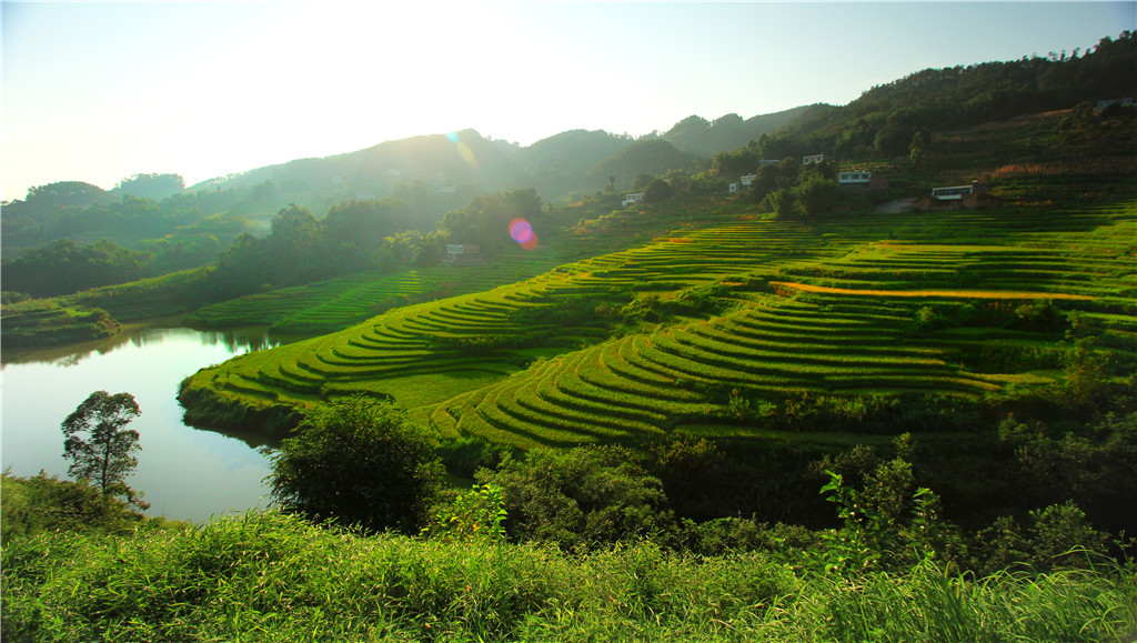 IMG_1228-2_副本.jpg
