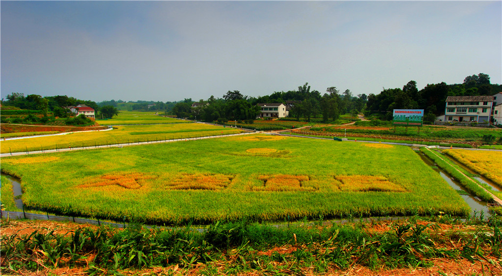 IMG_0479 (2)-2_副本.jpg