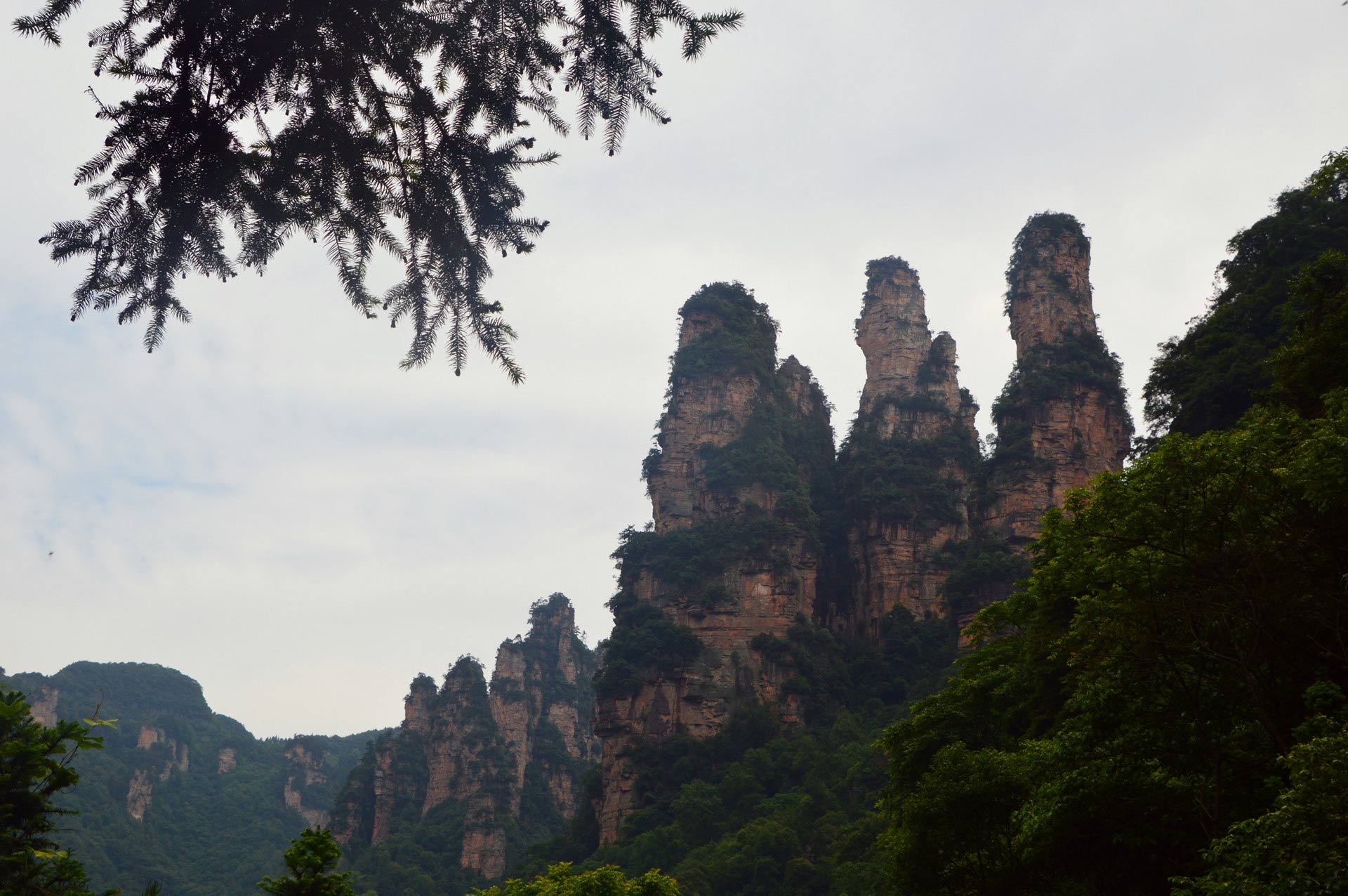 DSC_0534_副本.jpg