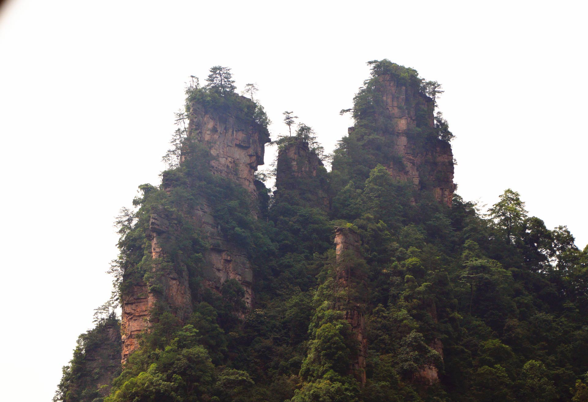 DSC_0542_副本.jpg