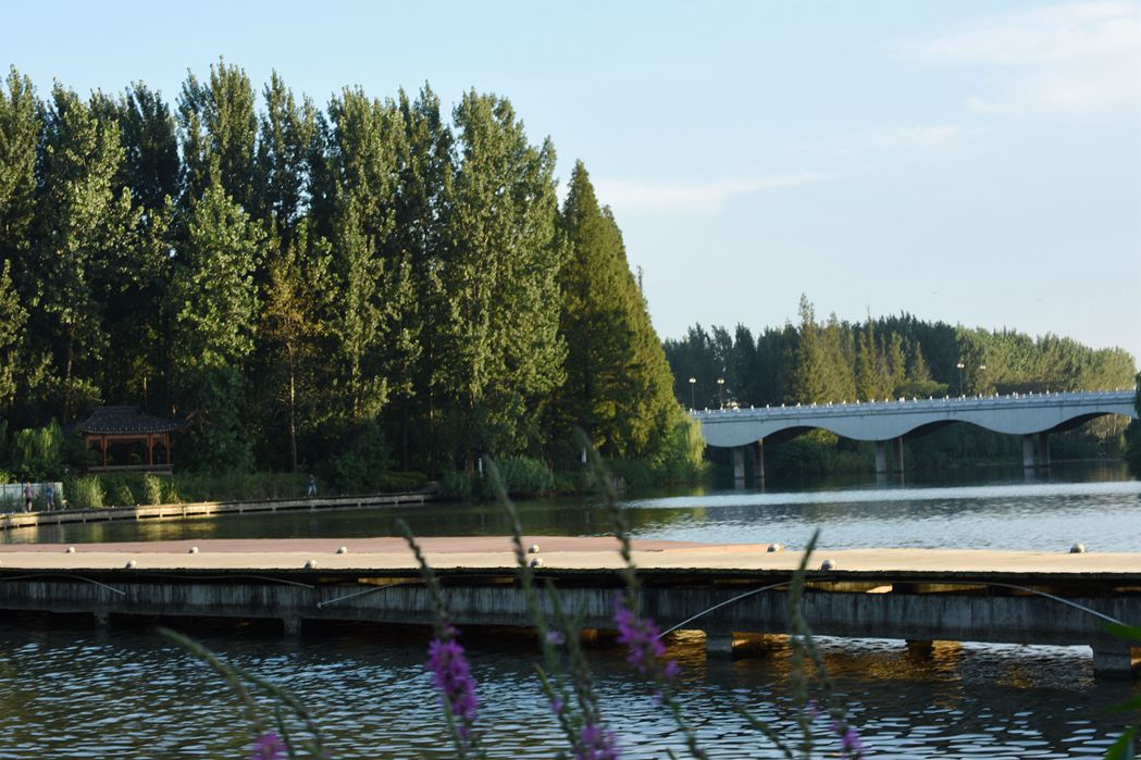 DSC_3167.JPG