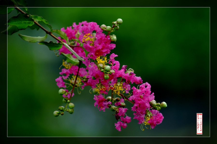 _DSC6190_副本.jpg
