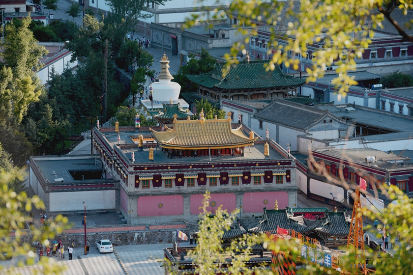 DSC_0590_副本.jpg
