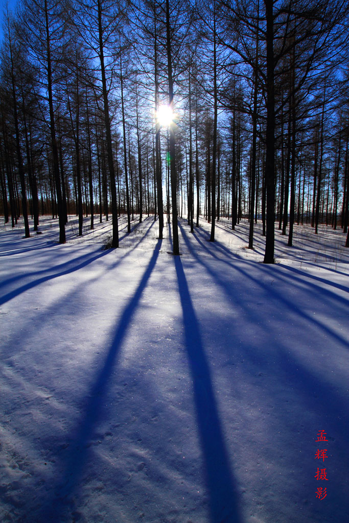 _MG_9049.JPG