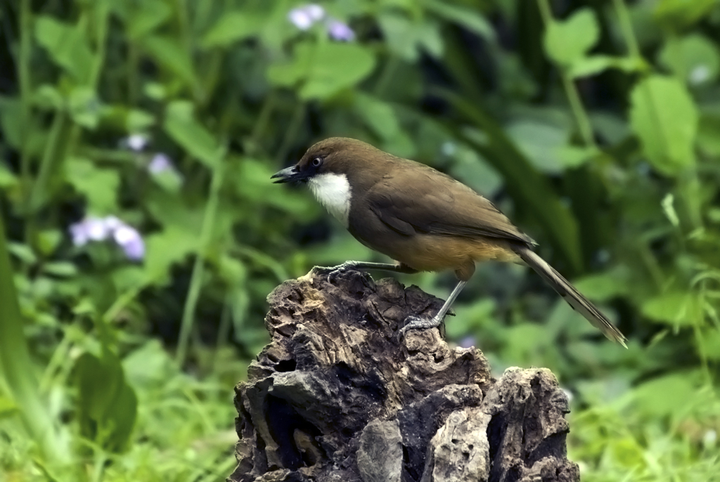 IMGP6707副本.jpg