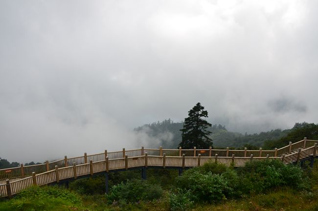 夏季的西岭雪山