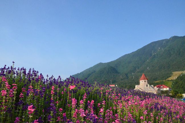 夏季的西岭雪山