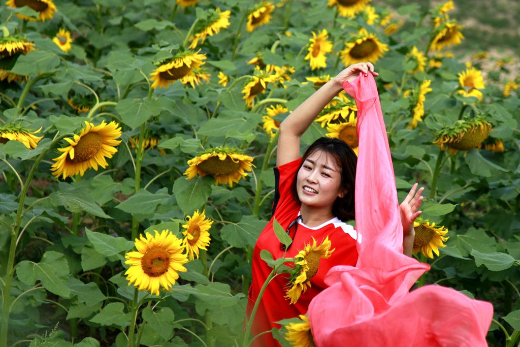 _MG_2010_副本_副本.jpg