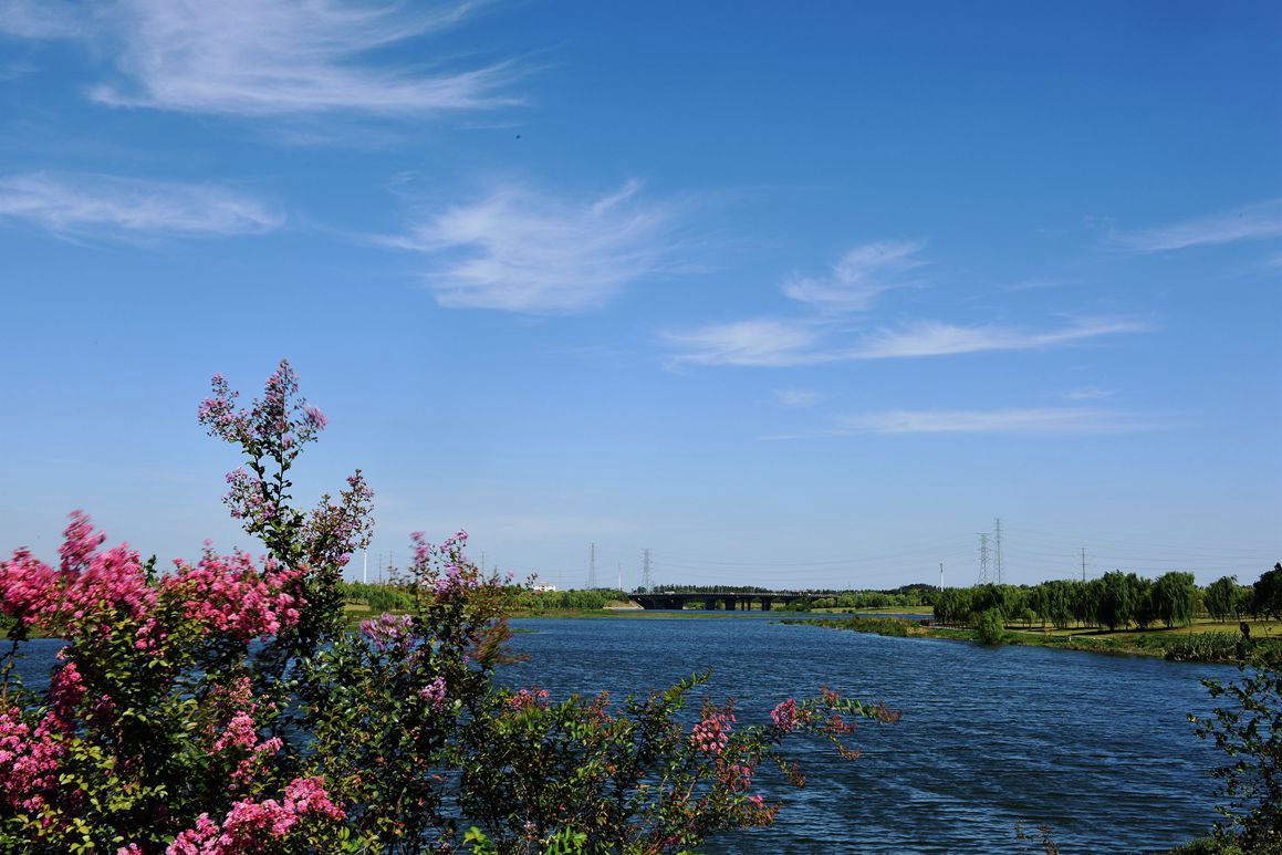 DSC_3590.JPG