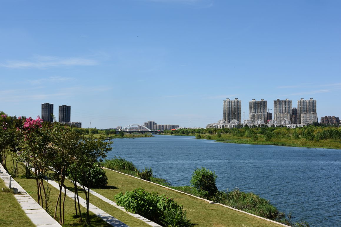 DSC_3594.JPG