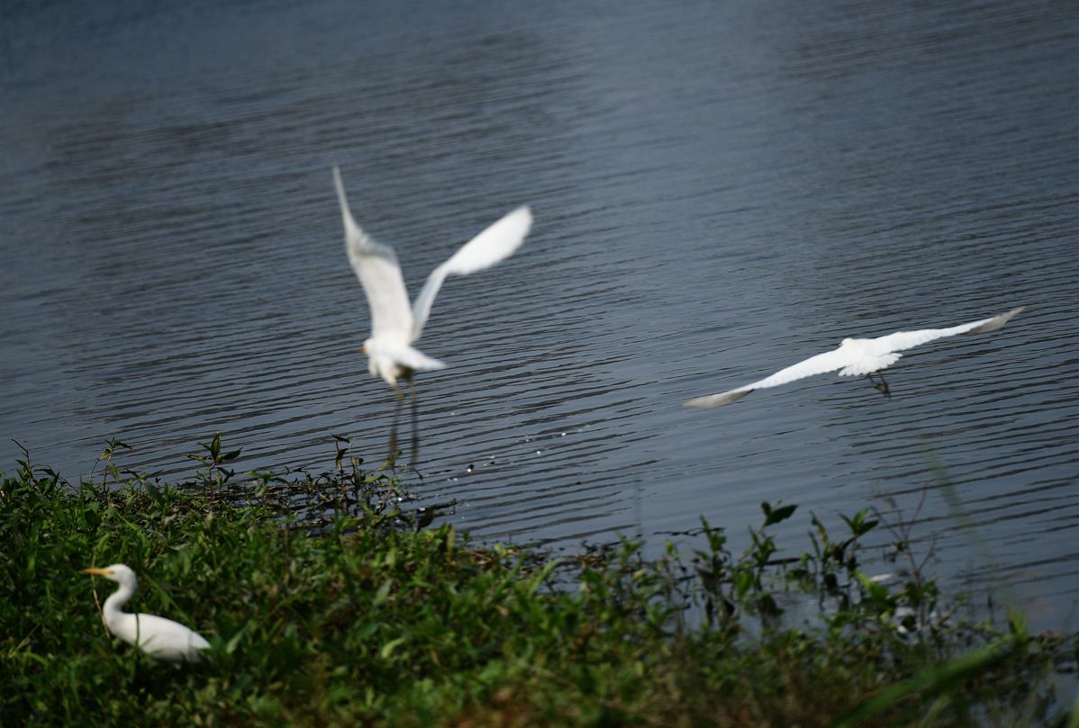 DSC_3651.JPG