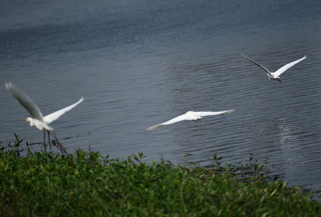 DSC_3652.JPG