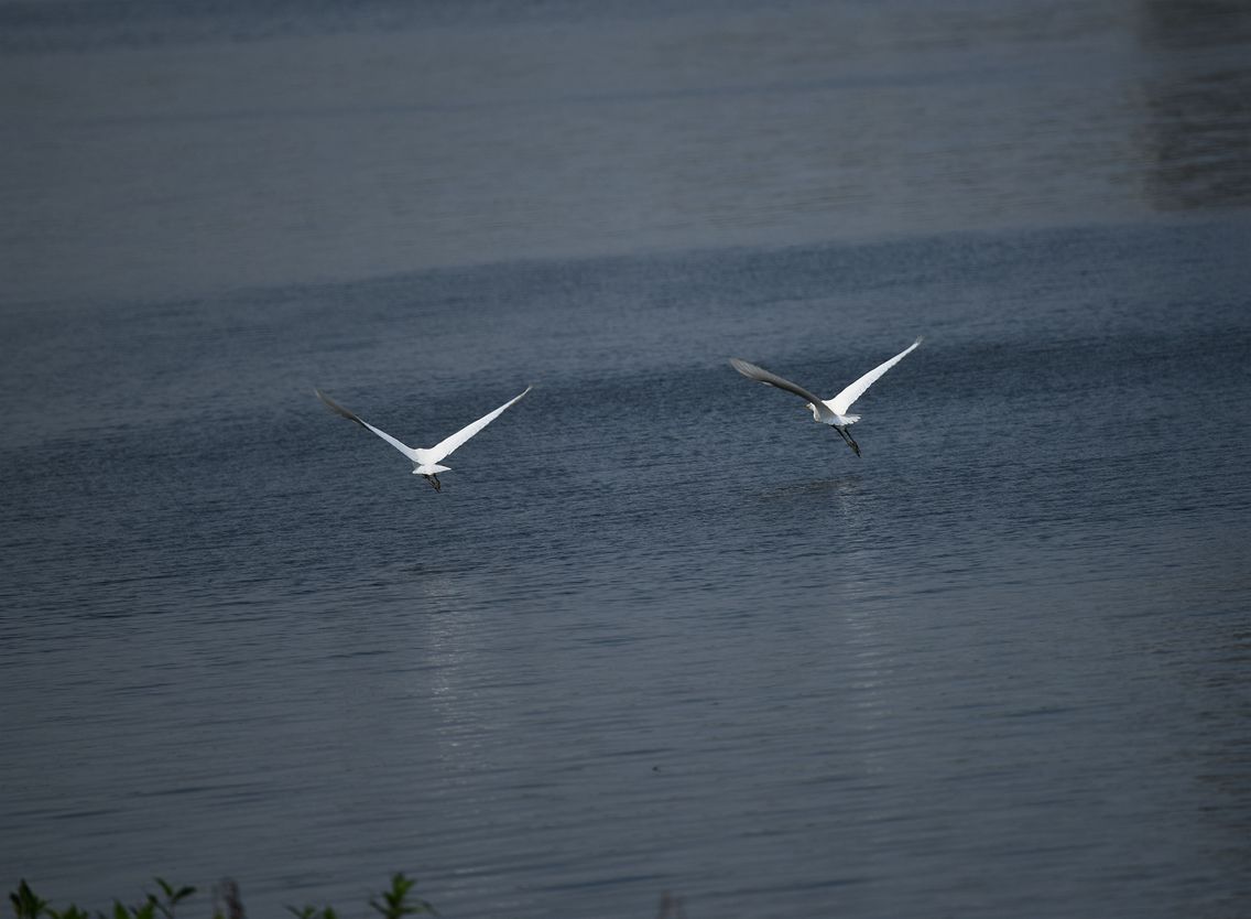 DSC_3654.JPG