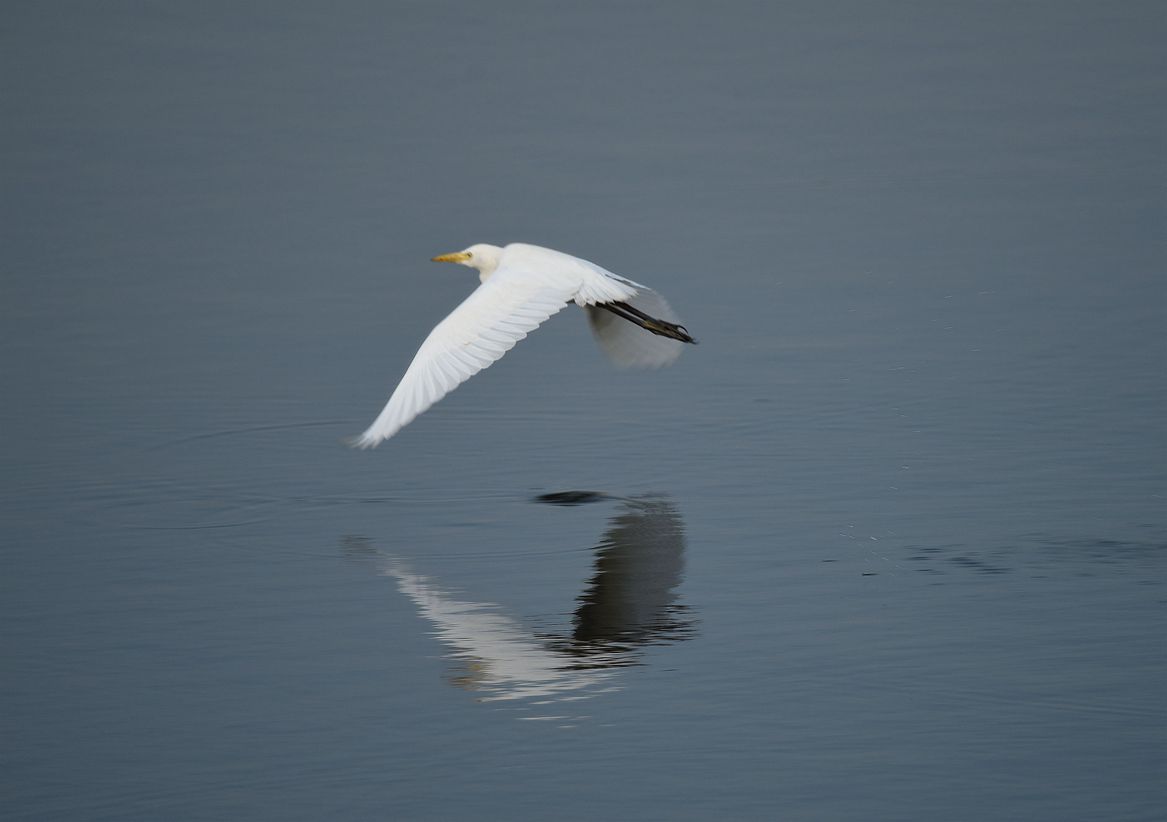 DSC_3676.JPG