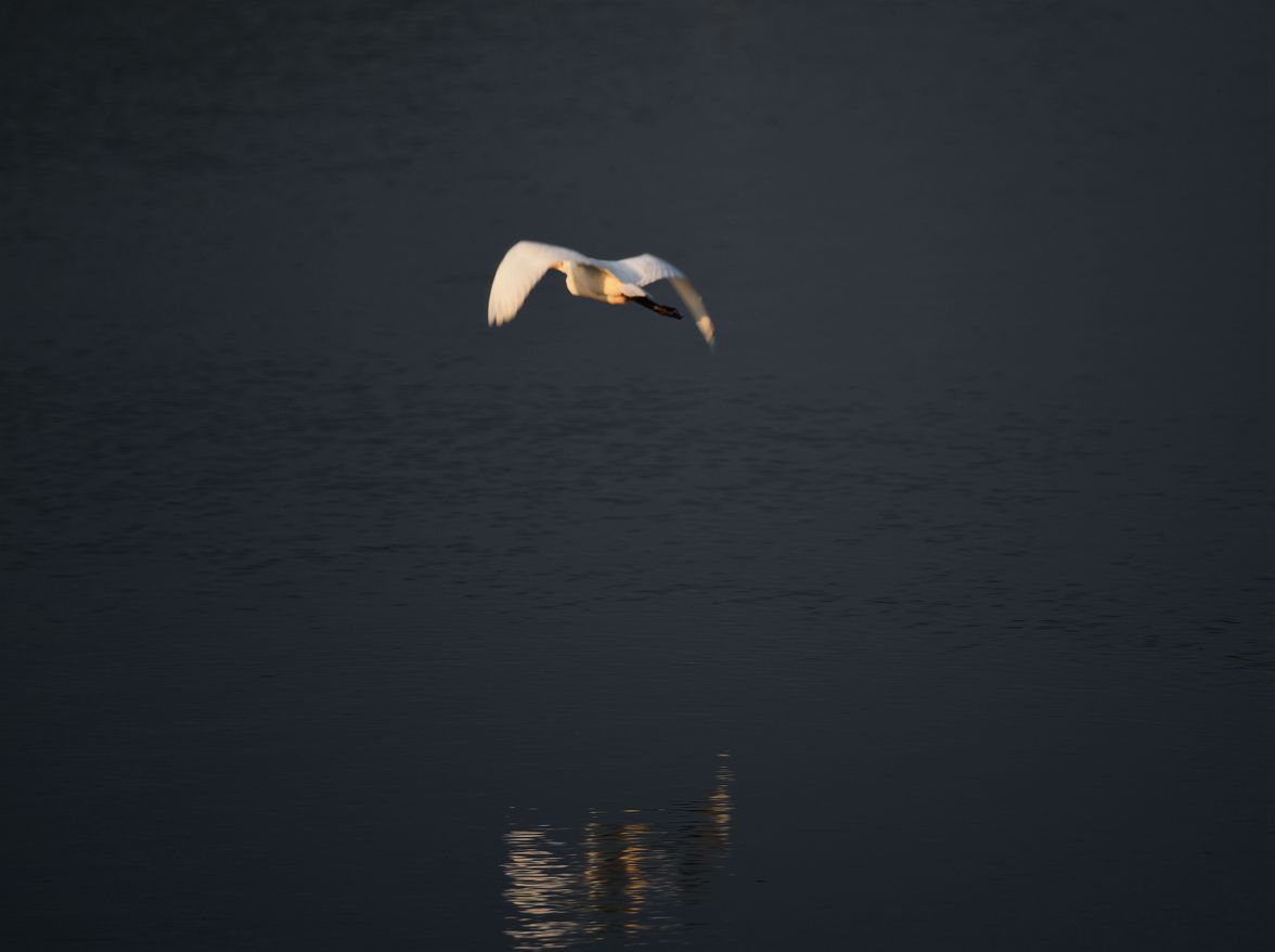 DSC_3678.JPG